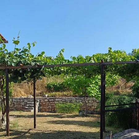 Second Tarra * Ayios Ioannis (Messenia)
